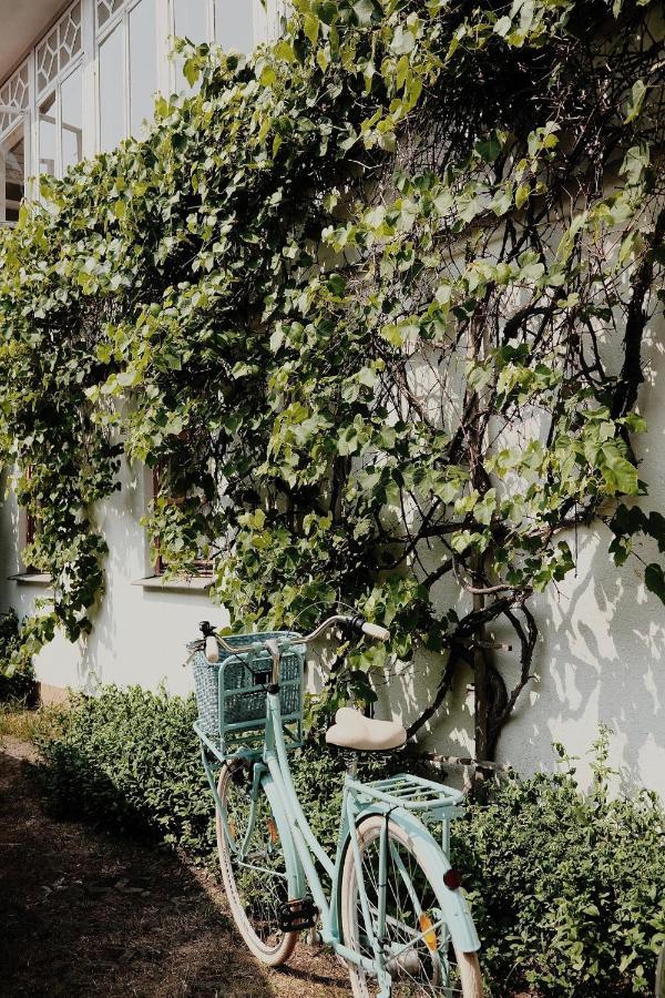 Vila Silelis パランガ エクステリア 写真